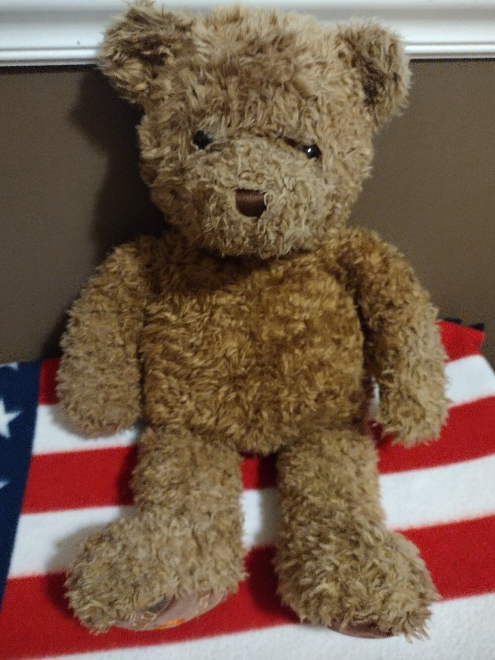 VINTAGE Lmtd Ed May Dept Stores GUND Plush Wish Bear CHEER Teddy Bear 2000/2001